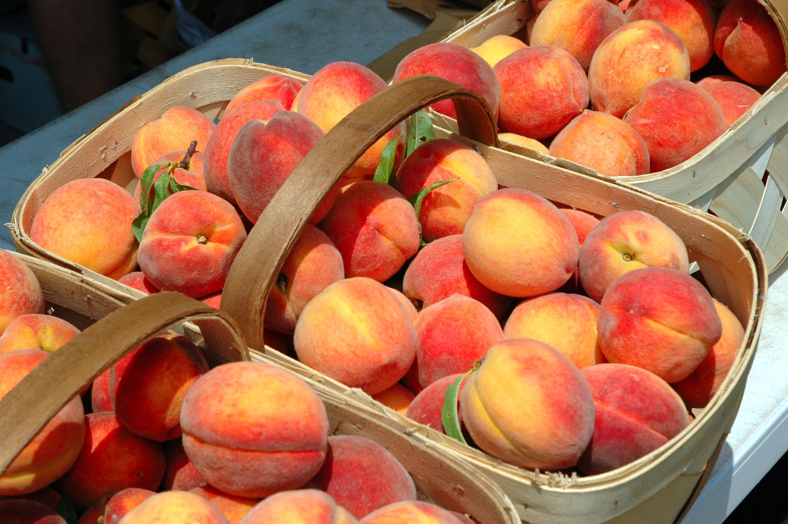 Half Bushel Peaches Norman's Farm Market